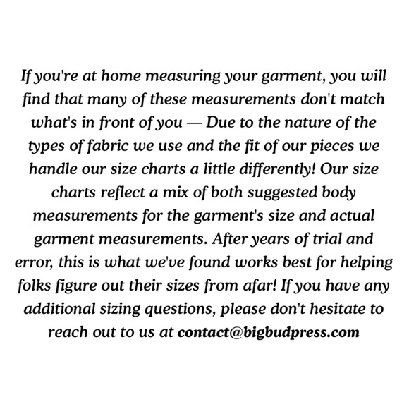 Big Bud Press Western Pants | Size M | Blue Stripe - Picture 9 of 11